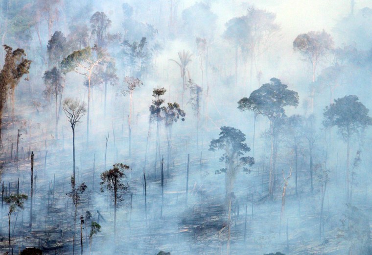 A forest burns near the city of Santarem in the Brazilian state of Para. Most Amazon fires are the result of farmers clearning the land, usually to plant soy.