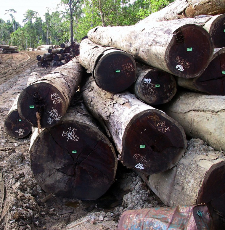 Merbau logs are piled in Indonesia's remote province of Papua