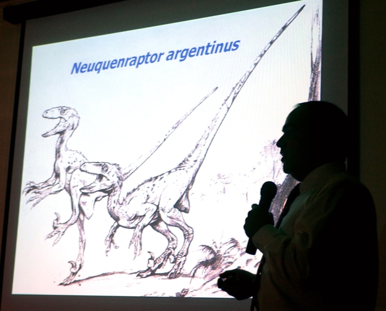 Paleontologist Fernando Novas shows a drawing of a small meat-eating dinosaur in Argentina's Patagonia region, similar to creatures that were long believed to have existed only in North America and Asia, Wednesday, Feb. 23, 2005 in Buenos Aires. Scientists say the find _ bones of the animal's foot _ could aid in learning more about the evolution of a family of dinosaurs known as the deinonychosaur _ a fleet-footed creature with a long tail first discovered in the United States and Mongolia. (AP Photo/Natacha Pisarenko) **EFE OUT**