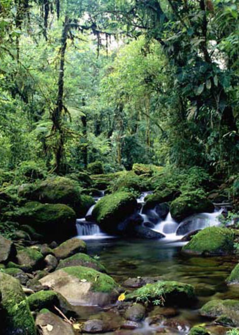 Monteverde Reserve, Costa Rica
