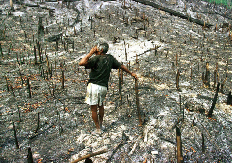 FILE PHOTO OF DEFORESTATION AND DESTRUCTION IN THE BRAZILIAN AMAZON