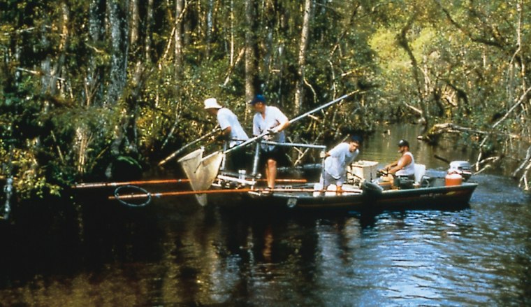 Researchers sample fish in the Everglades to test them for mercury levels. An EPA report found a mercury "hot spot" in the Southeast.