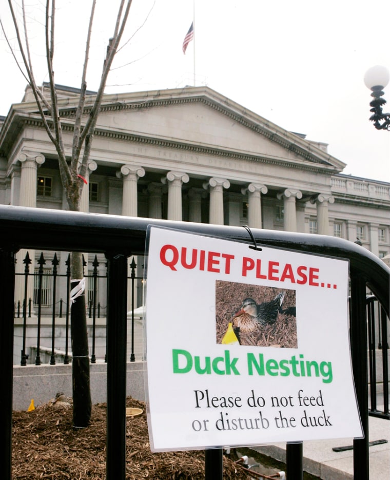 Duck Finds New Home At Treasury Department