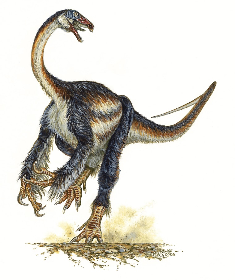 This artist's conception shows the bird-like feathered dinosaur Falcarius utahensis. Paleontologists say lived 125 million years ago and represents a missing link between earlier carnivores and later herbivores.