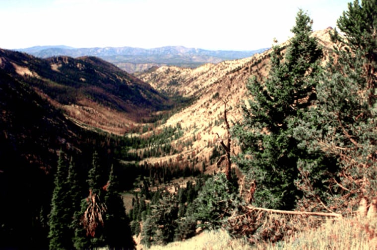 The Ten Mile/Black Warrior roadless area in Boise National Forest near Lohman, Idaho, is one of dozens created by the Clinton administration.