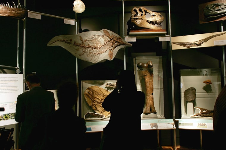 Exhibit Displays Newest Dinosaur Fossils
