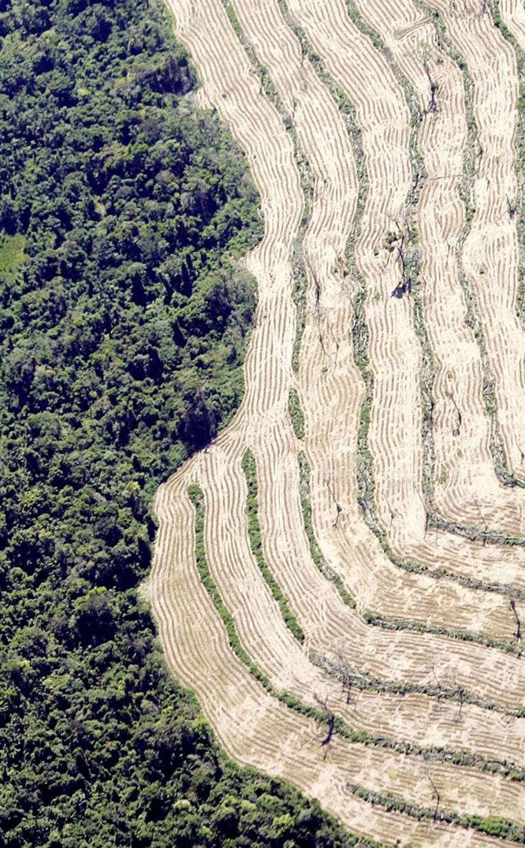Aerial view of advancing deforestation in Amazon Basin