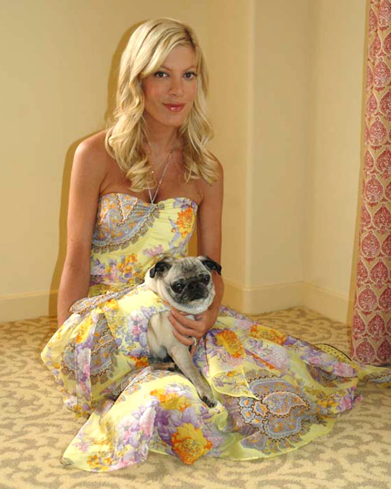 Exclusive:Tori Spelling prepares her dog, Mimi LA Rue as they are they are the Grand Marshal's of the 11th Annual Big Dog Parade in  Santa Barbara. Tori shown here in her otel suite at the Andalucia dressed in identical dresses by designer Shoshanna Loeinstein.  Tori's decided to do the event in support of Much Love Animal Rescue which she is an honorary board member.