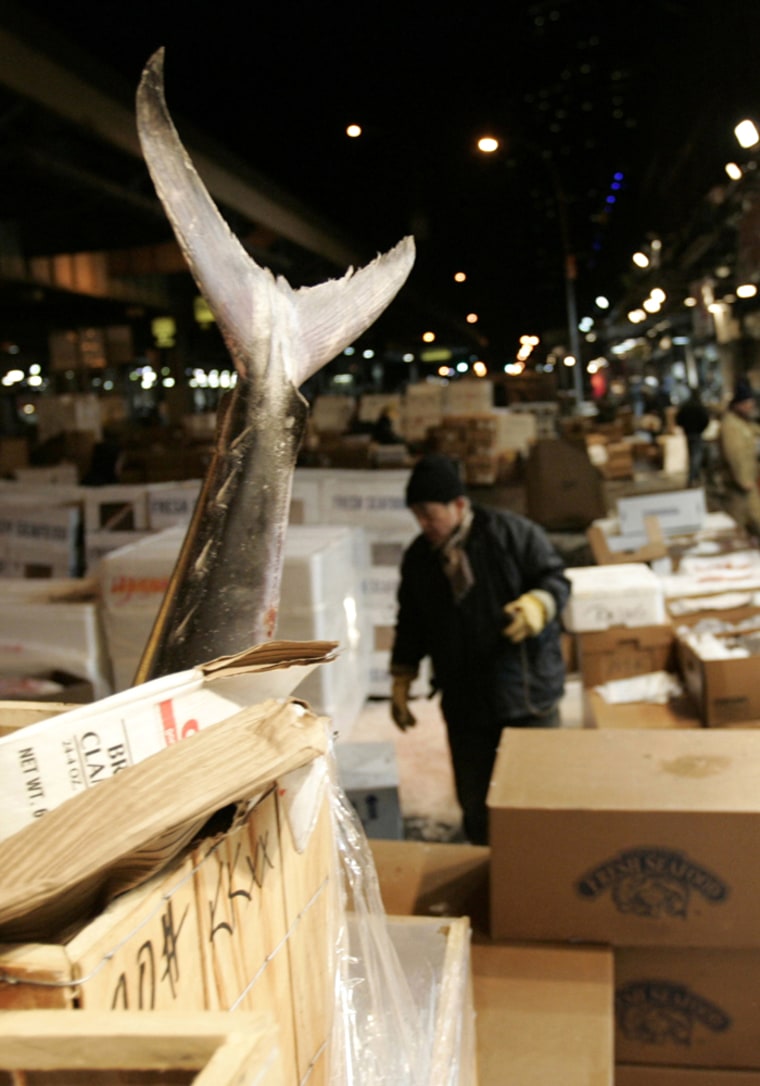 ** APN ADVANCE FOR SUNDAY, JUNE 12 **The tail from a king fish waits for a buyer to pluck it from its ice-filled storage box at the Fulton Fish Market Thursday, Jan. 27, 2005 on the south end of Manhattan, New York. The market will soon move to a new facility in the Bronx, which spans the length of four football fields and boasts a state of the art climate control system which will maintain the indoor temperature at a constant 41 degrees farenheit.   (AP Photo/Julie Jacobson)