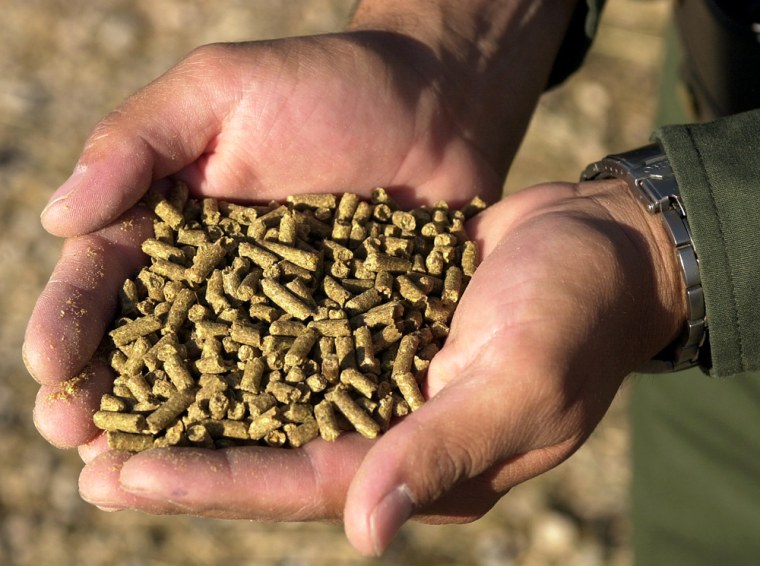 A handful of commercially prepared food in pellet form that is fed to the Border Patrol horses patrolling the sensitive areas near Naco, Ariz., is shown Thursday, June 2, 2005. Horses have long been an integral part of U.S. border enforcement efforts, particularly in rugged and remote terrain where vehicles are impractical. But the patrol horses can't eat just any kind of feed. Those in some areas require special pellets to ensure their droppings don't seed environmentally sensitive areas with non-native plants. (AP Photo/John Miller)