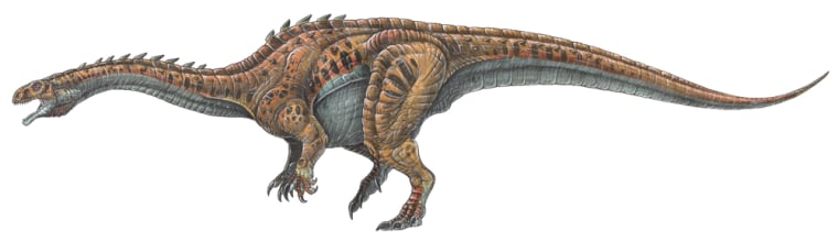 Flesh Reconstruction of the herbivorous prosauropod dinosaur Massospondylus carinatus as an adult. Length is 5 meters. Artwork by Gabriel Lio.