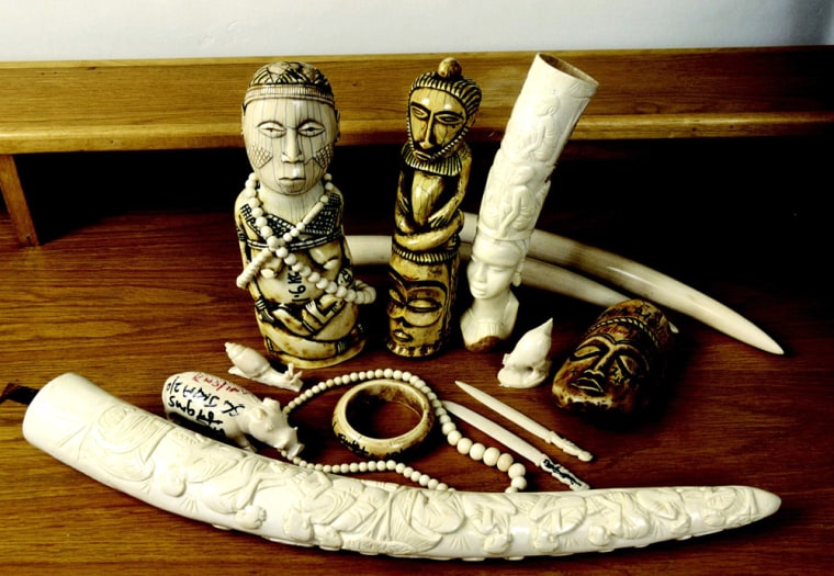 Undated handout photograph released by the International Fund for Animal Welfare on August 16, 2005 shows confiscated carved ivory products from Kenya
