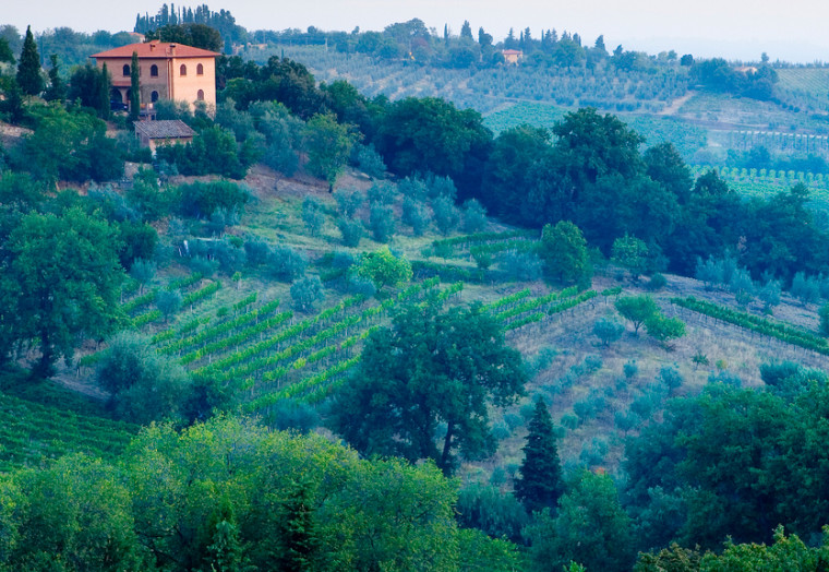 Tuscany is a sight to behold all year long, but oenophiles should visit during harvest season.