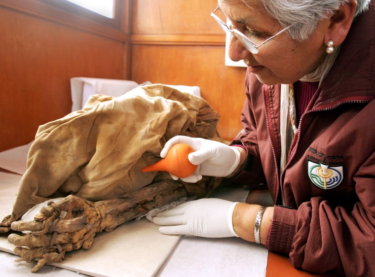 Peruvian archaeologist Isabel Flores cleans a pre-Incan mummy that was found at the Huaca Pucllana ceremonial complex in Lima. The mummy is thought to be that of an official from 1,300 years ago.