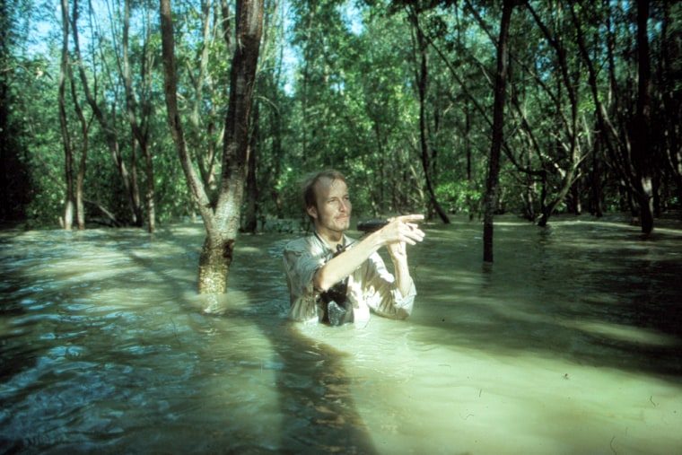 Finn Danielsen of the Nordic Agency for Development and Ecology conducts field work in a mangrove forest. Mangroves are found in tidal areas, where they tolerate extreme variations in water depth and salinity.