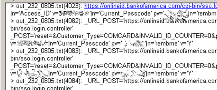 A stream of text captured by a remote access Trojan horse, according to CardCops' Dan Clements. It included a series of Bank of America login passwords, which have been blurred by MSNBC.com.