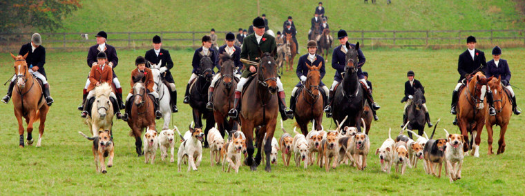 Members of the Beaufort Hunt ride out on