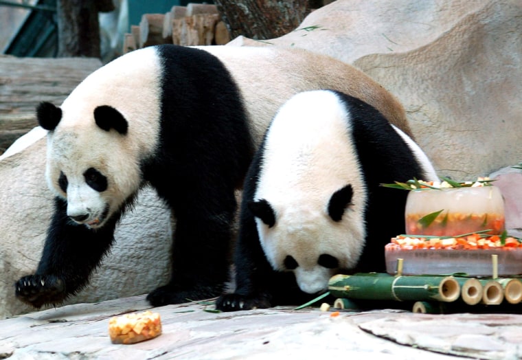 Two giant pandas on loan to Thailand fro