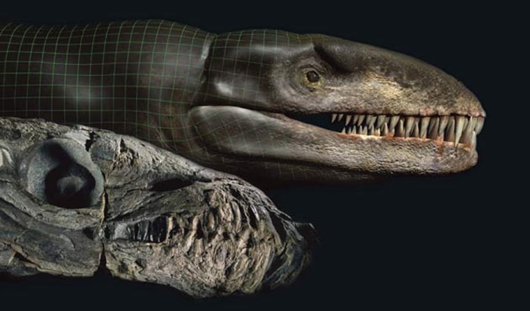 The fossil of the "Godzilla" croc with digitized flesh added.