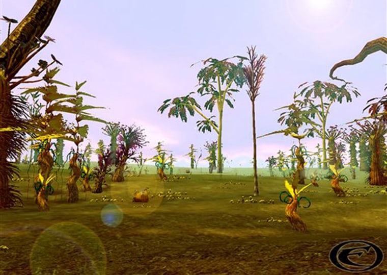 This is a screengrab of the Treasure Island area of the Project Entropia online game. This area sold for $26,500 last year, the previous record. One of the losing bidders has now bought the virtual space station.