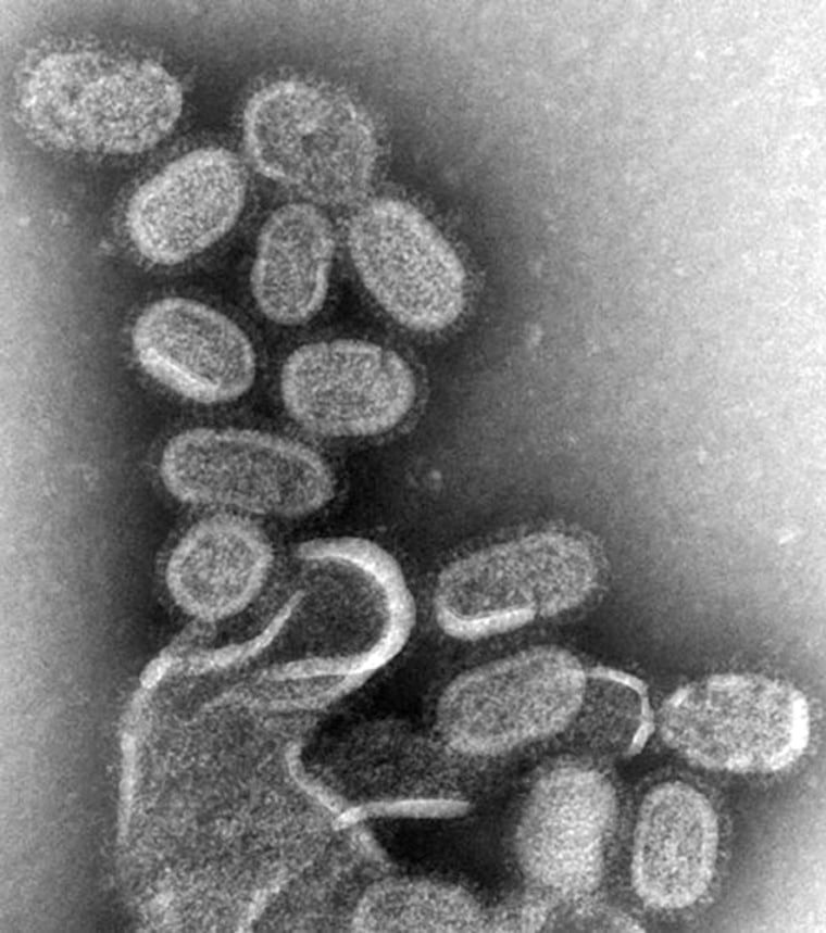 This photomicrograph shows re-created influenza virions from the 1918 flu that killed an estimated 50 million people.