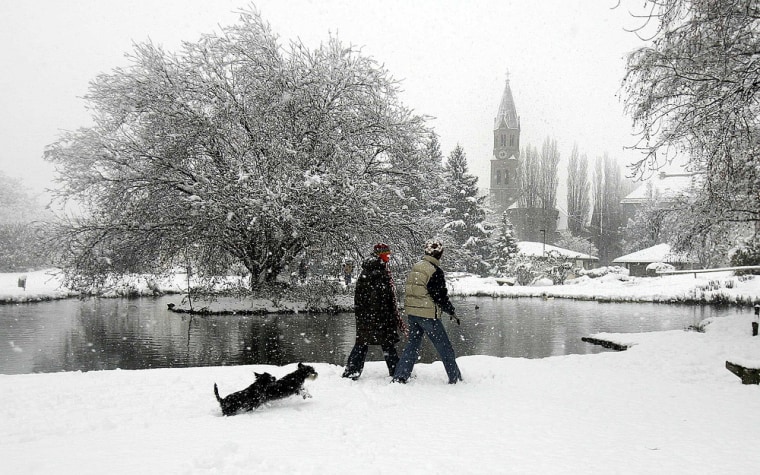 People walk their dogs in a field covered with season's first snow