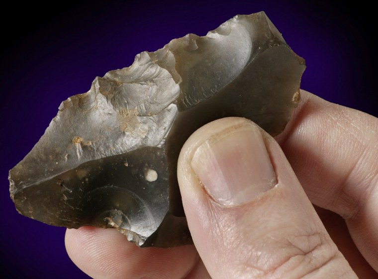 This flint tool was one of many found embedded at the base of cliffs at Pakefield in southeastern England. Its placement in the rocks indicates that the tool was made 700,000 years ago, scientists say.