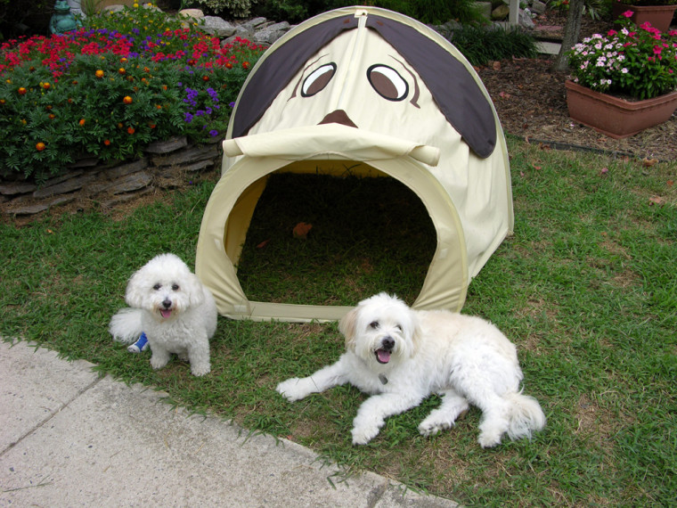 BENJI VENTURES POOP TENT