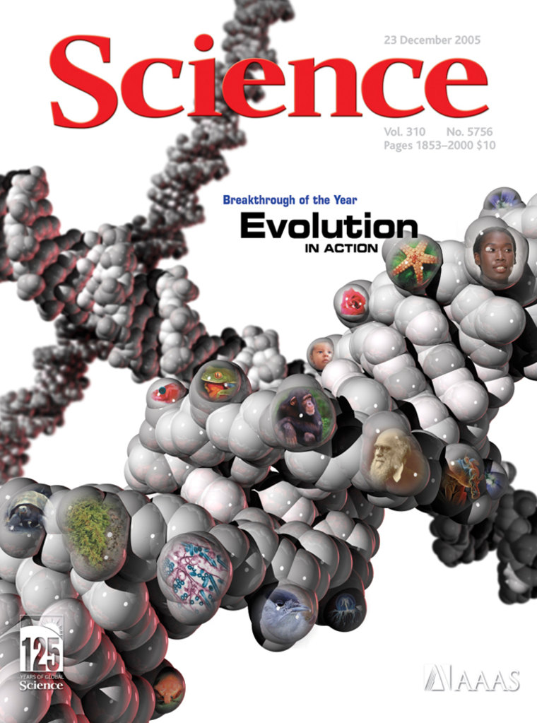 Science's cover image symbolizes the host of genetic studies and field observations that have shed light on the mechanisms that drive Darwinian evolution. A model DNA molecule is emblazoned with species representing key advances of 2005, including a stickleback fish; the influenza virus; a European blackcap; a chimpanzee; a fruit fly; and three members of Homo sapiens, including Charles Darwin.