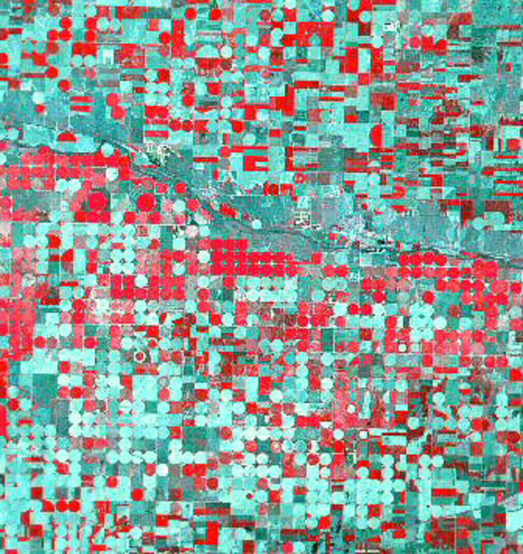 Infrared imagery from the Landsat 7 satellite can distinguish between recently tilled land and acreage covered with vegetation, as shown in this picture of irrigated farmland.