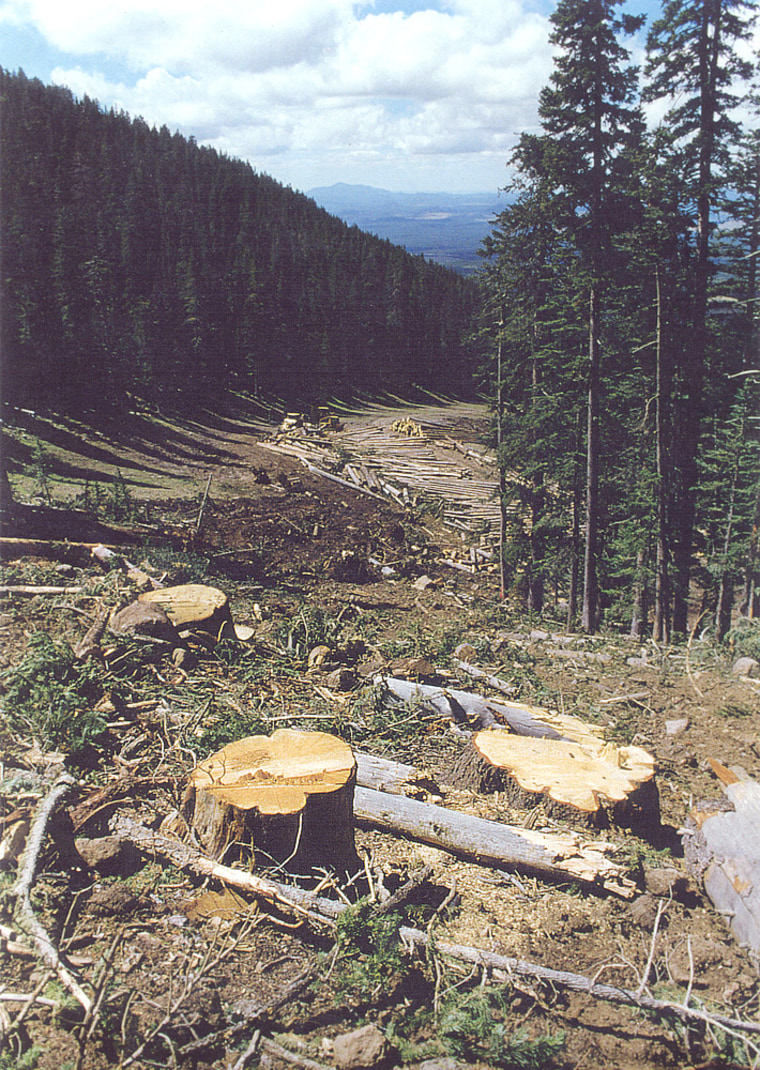 The Navajo Nation has long opposed the Arizona Snowbowl ski area, citing impacts like the 1999 logging seen here. Their latest battle is over plans to use treated wastewater to make artificial snow.