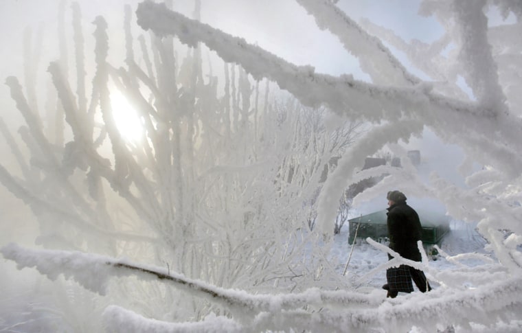 A Muscovite walks past snow-covered shru