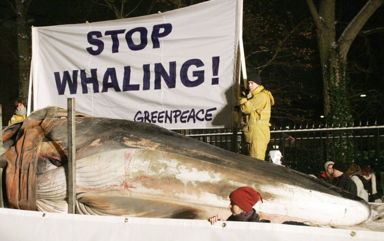 Greenpeace activists display a dead 17-m