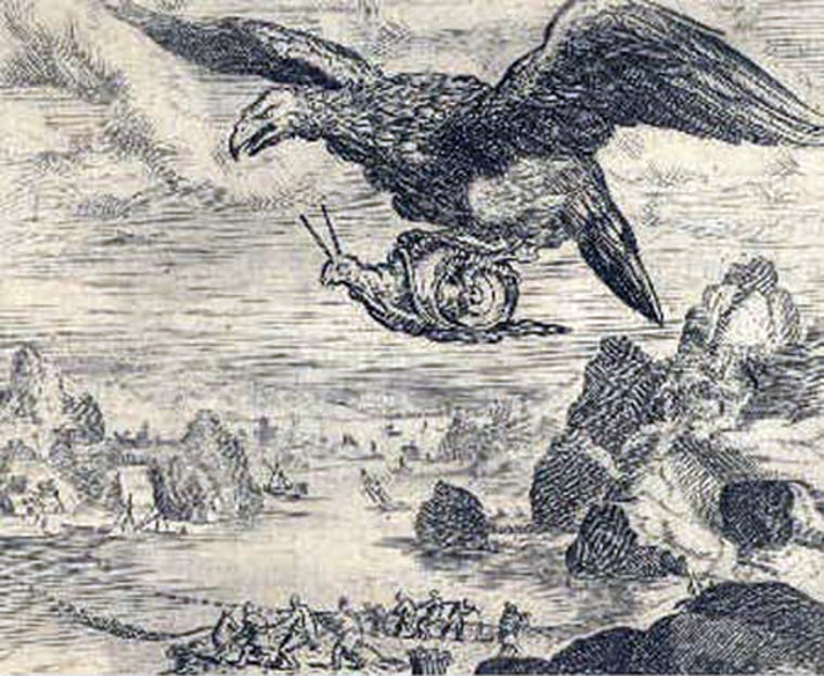 An etching from Marcus Gheeraerts’ 1567 fable "Pride comes before a fall" depicts an eagle carrying a snail. However, it is more likely a wading bird transported Balea.