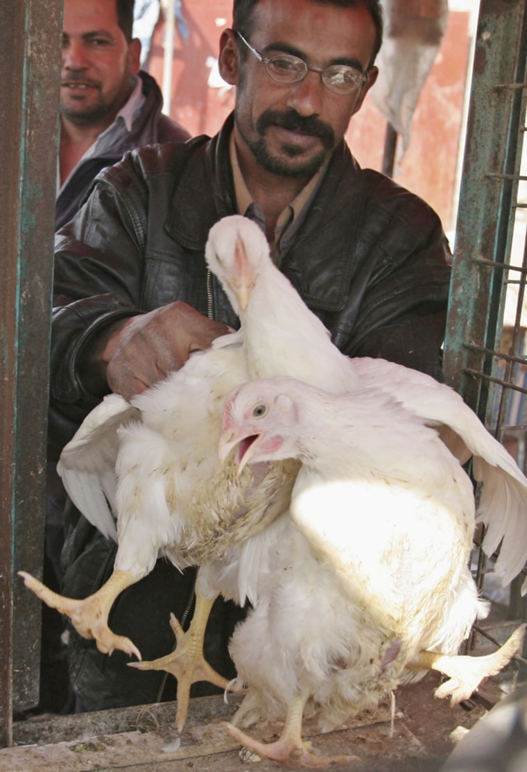 Vendor removes chickens from a cage at a market in Baghdad