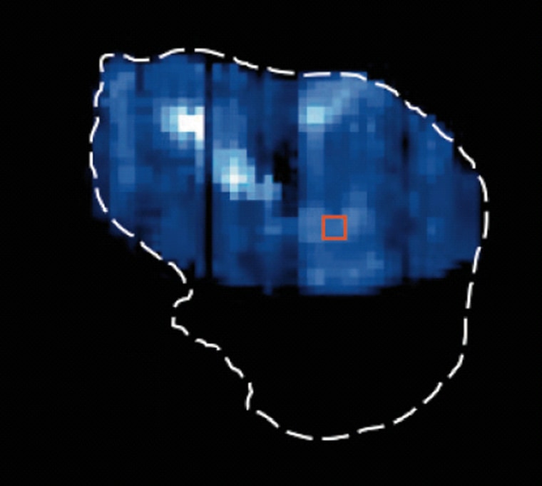 Infrared readings from Comet Tempel 1 have turned up three bright spots, indicating the presence of water ice. The red-outlined square identifies a small region of the comet used for calibration of the Deep Impact probe's instruments.