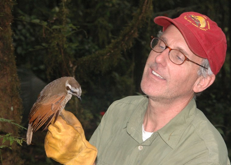 Beehler, co-leader of an expedition, studies a 'Berlepsch's Six-Wired Bird of Paradise' in the west of New Guinea