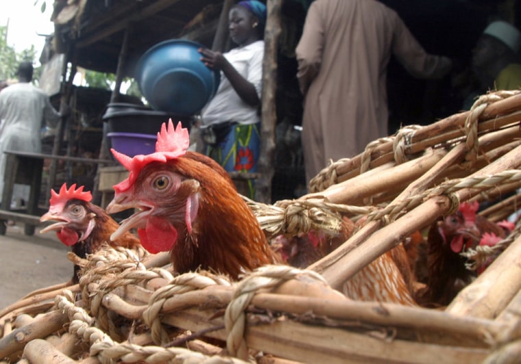 Chickens peer out of basket at market on street in Nigeria's commercial capital, Lagos
