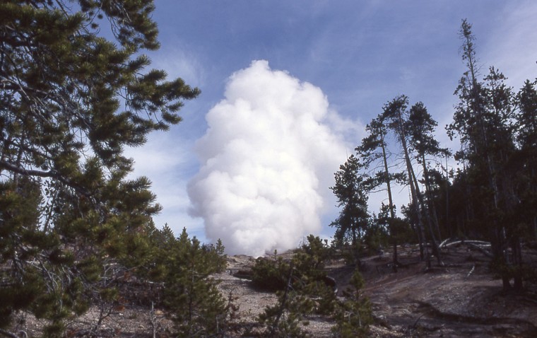 Steam rises from Steamboat Geyser at Yellowstone National Park during an eruption on May 2, 2000. Activity at Steamboat, the world's largest geyser, is seen as a manifestation of the Yellowstone caldera's changing geology.