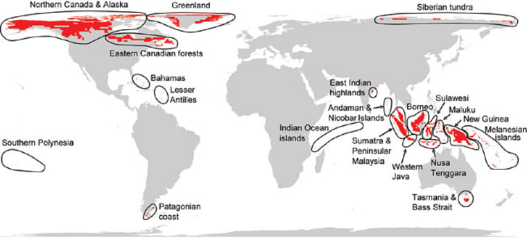 The highlighted areas are where species are considered most like to decline rapidly toward extinction, given exposure to levels of human impact that already have been felt elsewhere.