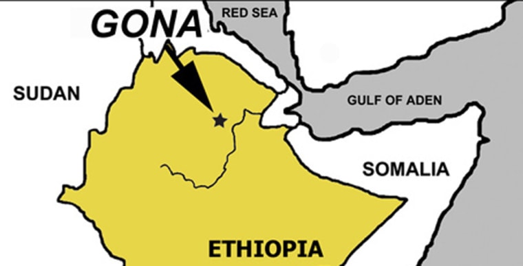 Map of the fossil discovery site at Gona, Ethiopia