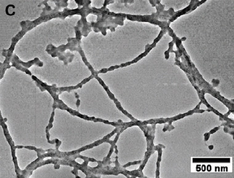 An image made using a transmission electron microscope shows hybrid cobalt oxide nanowires with gold particles, assembled by M13 viruses. The scale bar represents a length of 500 nanometers.