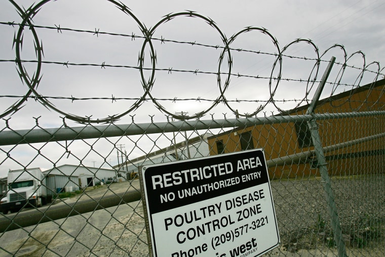 A barbed wire fence separates chicken egg-laying facilities at the J.S. West Milling Co. plant in Hilmar, Calif. 