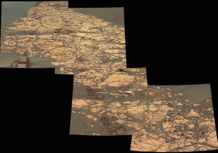 As NASA's Mars Exploration Rover Opportunity continues a southward trek from \"Erebus Crater\" toward \"Victoria Crater,\" the terrain consists of large sand ripples and patches of flat-lying rock outcrops, as shown in this image. Whenever possible, rover planners keep Opportunity on the \"pavement\" for best mobility. 

This false-color image mosaic was assembled using images acquired by the panoramic camera on Opportunity's 784th sol (April 8, 2006) at about 11:45 a.m. local solar time. The camera used its 753-nanometer, 535-nanometer and 432-nanometer filters. This view shows a portion of the outcrop named \"Bosque,\" including rover wheel tracks, fractured and finely-layered outcrop rocks and smaller, dark cobbles littered across the surface.