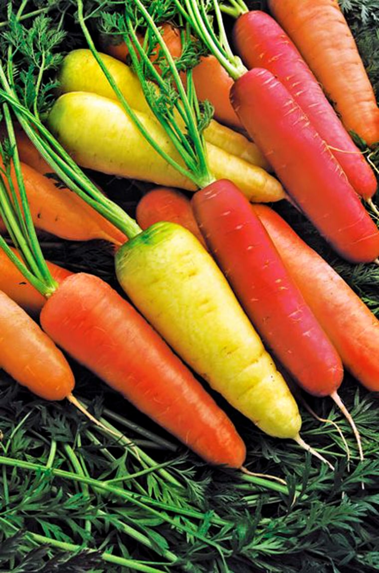Colorful Harvest carrots— in red and yellow, thanks to added nutrients—are a hit with kids and moms and also help stores stand out.