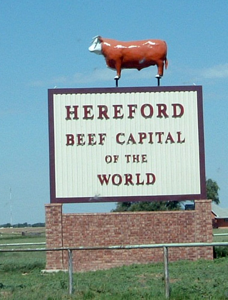 Hereford, Texas, calls itself the beef capital of the world. An ethanol company executive sees it as "the Saudi Arabia of manure" when it comes to energy.