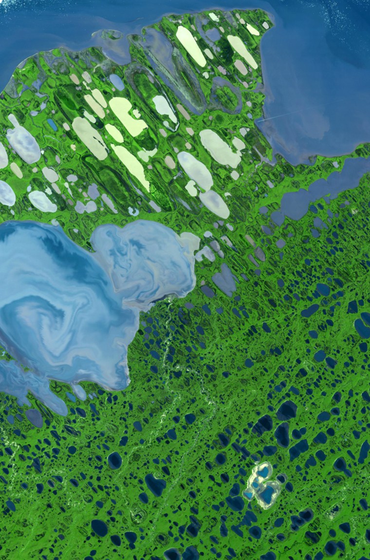 Part of the National Petroleum Reserve-Alaska, where the Bush administration is opening up areas to drilling, is seen in this satellite-based image. Green indicates vegetation and shades of blue, white and yellow indicate water. The Beaufort Sea is at the top, while Lake Teshekpuk is at left.