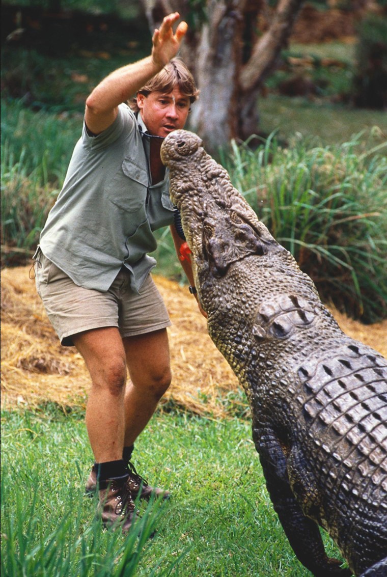 "Crocodile Hunter" star Steve Irwin is seen with one of the huge reptiles in this undated photo. 