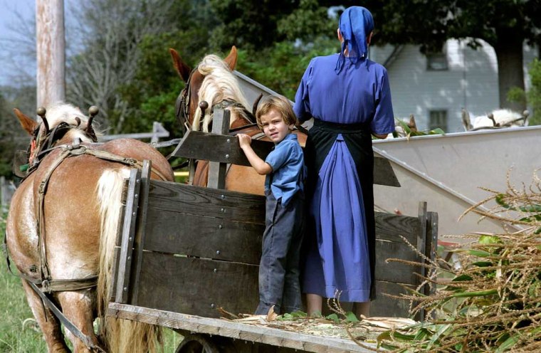 A young Amish boy stands on a wagon while his family harvest's corn August 29, 2006 in Hughesville, Maryland. Corn and tobacco is generally harvested in the last week of August. 