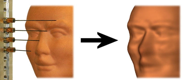 The artificial whiskers provided information about the object's shape to generate the image (right). 